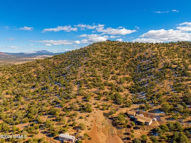 Aerial Lot View