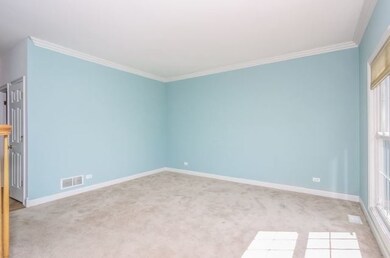 372 Stafney Dr, Batavia, IL 60510 - photo 4