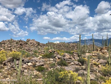 1194 W Tortolita Mountain Cir W unit 194, Tucson, AZ 85755 - photo 3