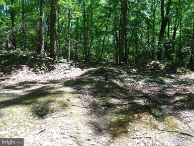 Etzler Map 56 Parcel Etzler Rd, Frederick, MD 21702 - photo 7