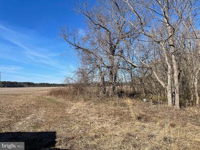 0 Beaver Dam Rd unit MDTA2009964, Trappe, MD 21673 - photo 4