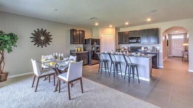 35555 Stella Vast Dr, Zephyrhills, FL 33541 - photo 4