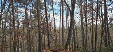 Tract 30 Deerfield Estates, Fairmount, GA 30139 - photo 6