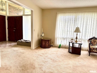 18 Chick St, Metropolis, IL 62960 - photo 3