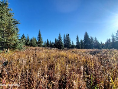 67618 Shavila Rd, Ninilchik, AK 99639 - photo 2