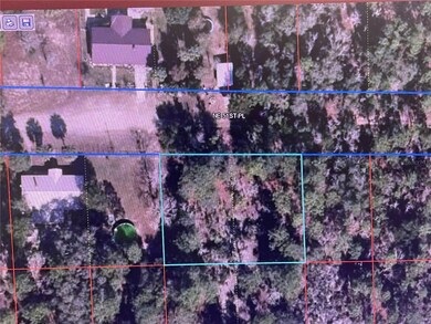 000 NE 51st Place, Williston, FL 32696 - photo 2