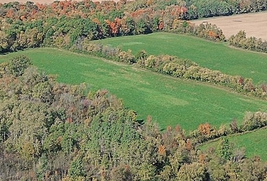 2 fields on northwest side of property below woods