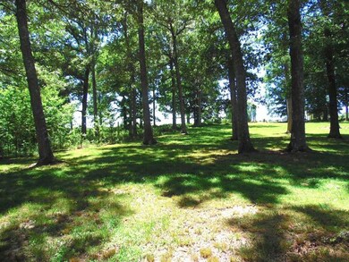 2606 Wildcat Rd, Sparta, TN 38583 - photo 5