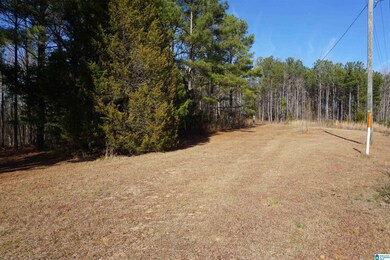 0 County Road 256 unit 1 1309740, Wedowee, AL 36278 - photo 2