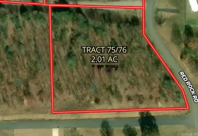 Tract 75 76 Helen Circle Rd, Austin, AR 72007 - photo 3