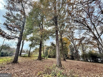 0 S Lee St unit 10646818, Forsyth, GA 31029 - photo 2