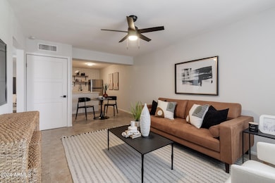 1615 N 51st St unit 5, Phoenix, AZ 85008 - photo 4