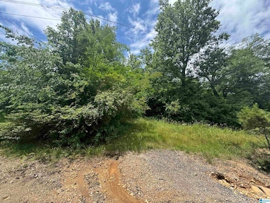 6391 Highway 13, Haleyville, AL 35565 - photo 3