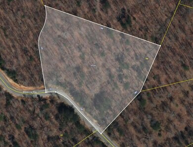106 Wandering Way, aerial