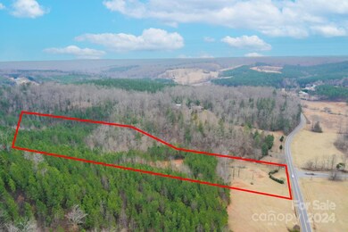 3150 Maple Creek Rd, Rutherfordton, NC 28139 - photo 2