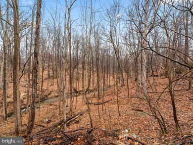 9726 Baltimore Ave, Laurel, MD 20723 - photo 2