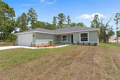 6658 N Bedstrow Blvd, Dunnellon, FL 34434 - photo 3