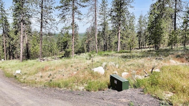 NKA Way, Deer Park, WA 99006 - photo 3