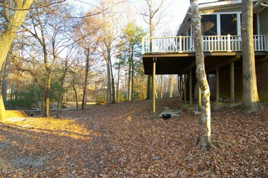 back yard