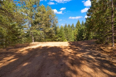 0 Drum Powerhouse Rd unit 225091514, Alta, CA 95701 - photo 7