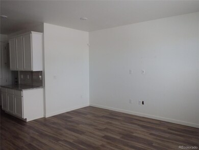 17510 E 95th Place, Commerce City, CO 80022 - photo 6