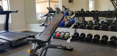 ZV Fitness Dumbbell Rake