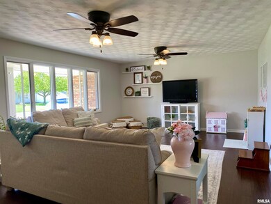 390 Northgate St, Lincoln, IL 62656 - photo 2