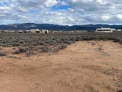17 Camino Campana, Ranchos de Taos, NM 87557 - photo 5