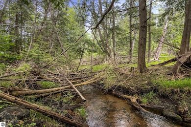 933 Old M 72 NW, Kalkaska, MI 49646 - photo 2