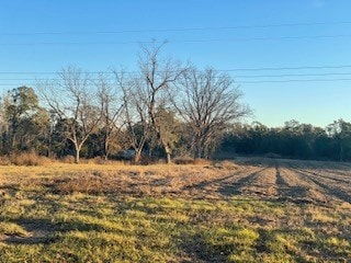 00 Holt Rd, Wray, GA 31798 - photo 5