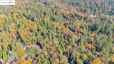 22919 Lazy Z Ln, Sonora, CA 95370 - photo 5