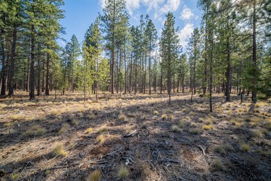 Lot 362 Mirror Rock Loop-03
