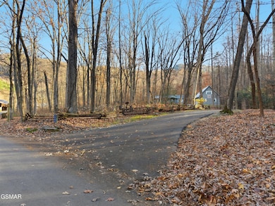 3480 Sugar Camp Cir, Sevierville, TN 37862 - photo 3