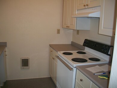 Kitchen View 2