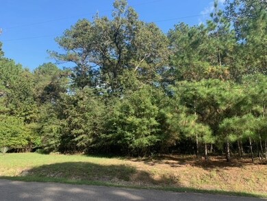 1828 Country Creek Ct, Magnolia, TX 77354 - photo 7