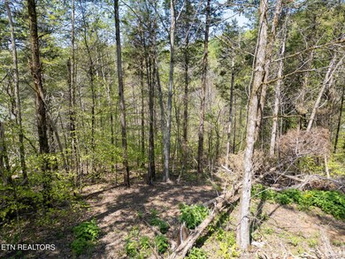 14-web-or-mls-DJI_0716
