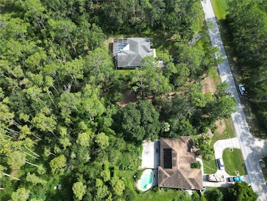 6760 Quail Hollow Blvd, Wesley Chapel, FL 33544 - photo 4