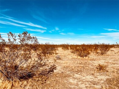 135 135th St E, Pearblossom, CA 93553 - photo 4