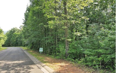 LT 30 Saw Blade Ln, Ellijay, GA 30540 - photo 4