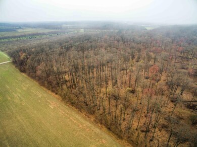 DJI_0047-7