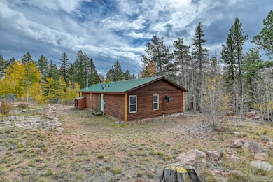 5413 County Rd, Florissant, CO 80816 - photo 2