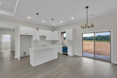 553 State Road S-42-1879, Chesnee, SC 29323 - photo 4