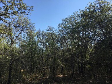 12368 County Road 129, Brownwood, TX 76801 - photo 6