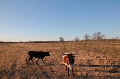 1049 NE Cr 0010, Corsicana, TX 75109 - photo 5