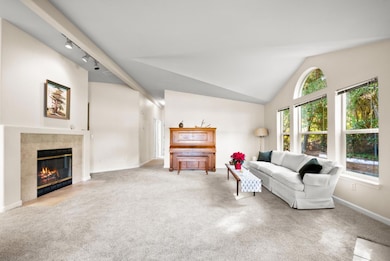 225 Mount Hermon Rd unit 199, Scotts Valley, CA 95066 - photo 5