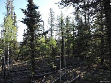 170 Buckskin Ct, Como, CO 80456 - photo 4