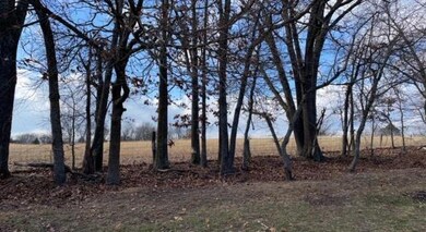 IMG_4565