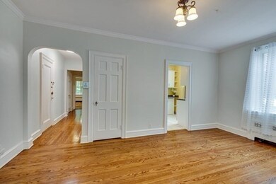 11 Monmouth Ct unit 2, Brookline, MA 02446 - photo 6