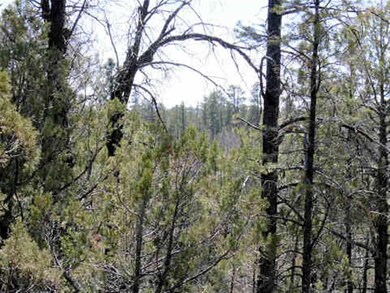 005D/B Fsr 107 A unit 2 Miles South of Mil, Overgaard, AZ 85933 - photo 2