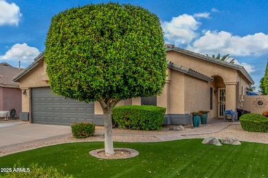 1724 E Pony Ln, Gilbert, AZ 85295 - photo 5